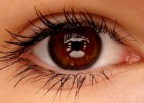 The Impact of Blue Light on Sleep and Eye Health